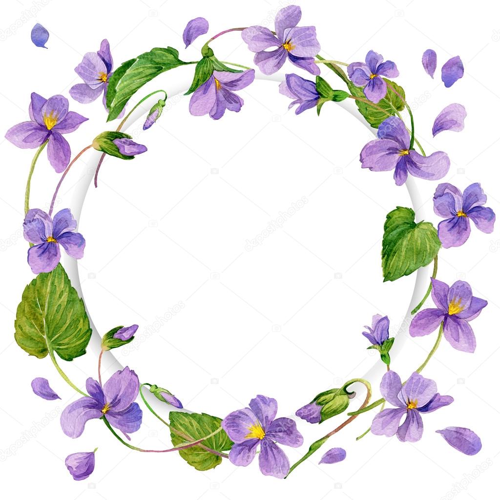 Spring flowers background. Forest violet and young green grass.