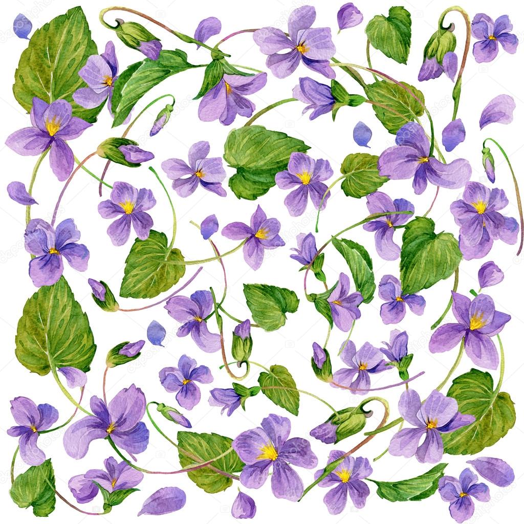 Spring flowers background. Forest violet and young green grass.