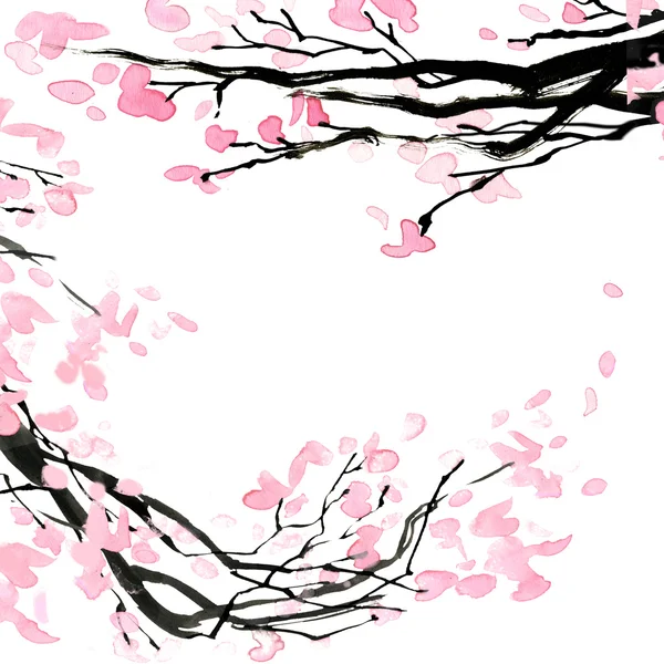 Cherry blossom branch. — Stock Photo, Image
