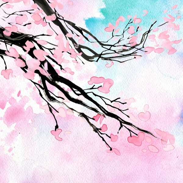 Cherry blossom branch. — Stock Photo, Image