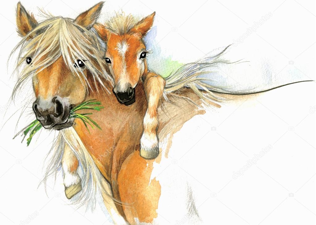 Animal Drawings To Do For Mothers Day Horses Sketches for Kids