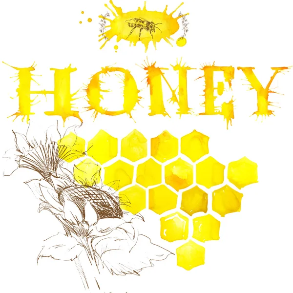 Mel, favo de mel, abelha doce . — Fotografia de Stock