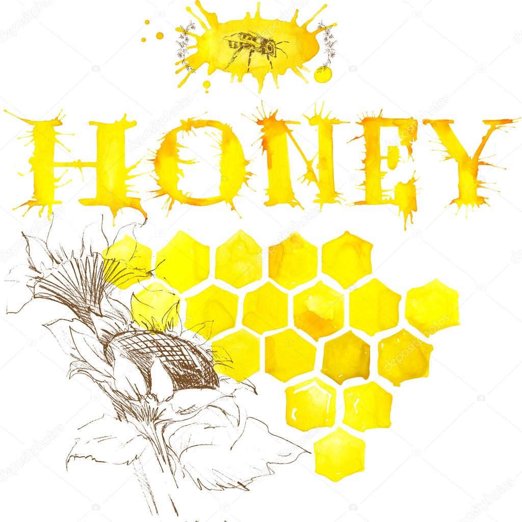 Honey, honeycomb, sweet bee.
