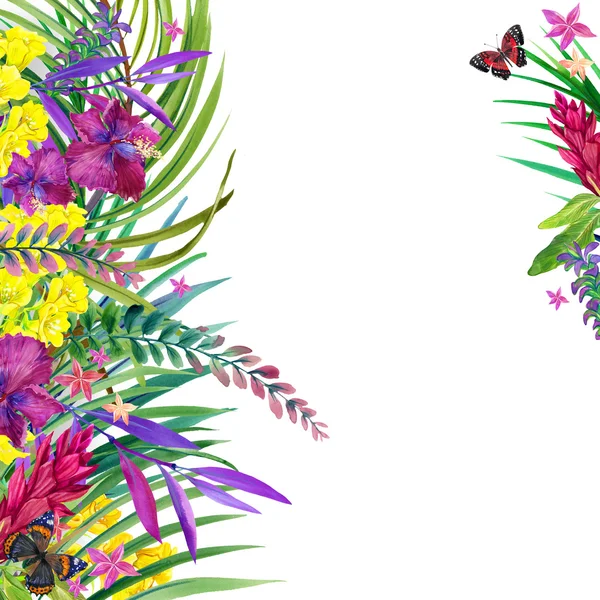 Tropical leaves, flowers and butterfly. — Stock Photo, Image