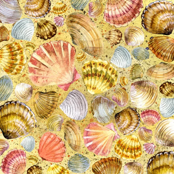 Seashell and sea sand. watercolor — Stock Photo, Image