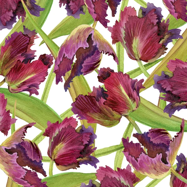 Aquarell Blume Hintergrund — Stockfoto