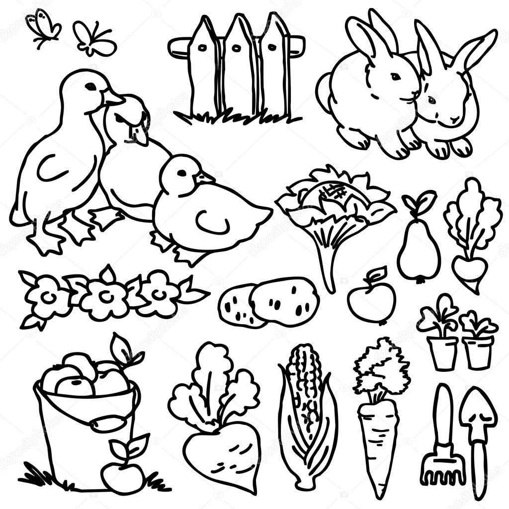 stock photo coloring book cartoon farm animals