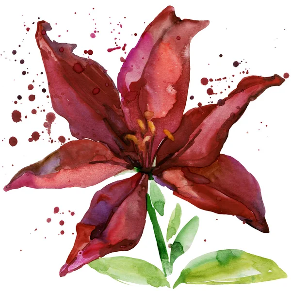 Summer garden flowers. watercolor illustration — Stok fotoğraf