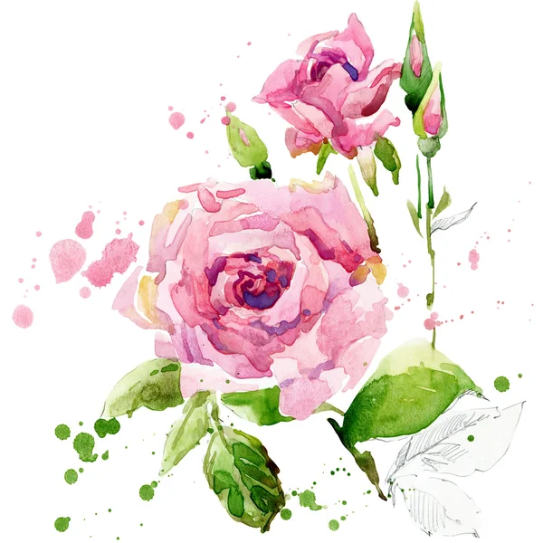 Summer garden flowers. watercolor illustration — 图库照片