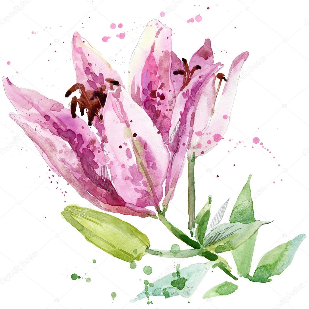 Summer garden flowers. watercolor illustration Stock Photo by ...