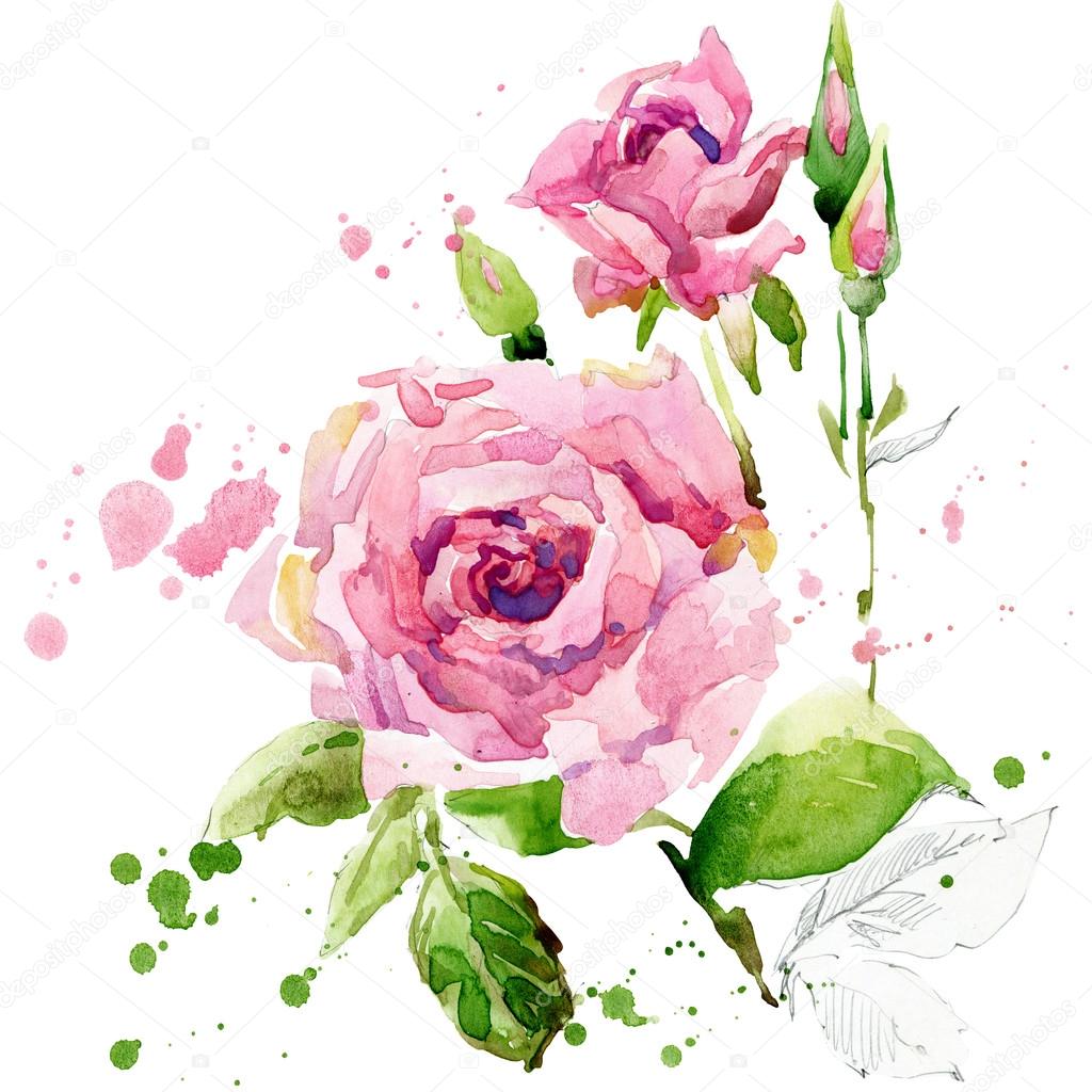 Summer garden flowers. watercolor illustration Stock Photo by ...