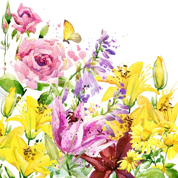 Summer garden flowers. watercolor illustration — Stock Photo, Image