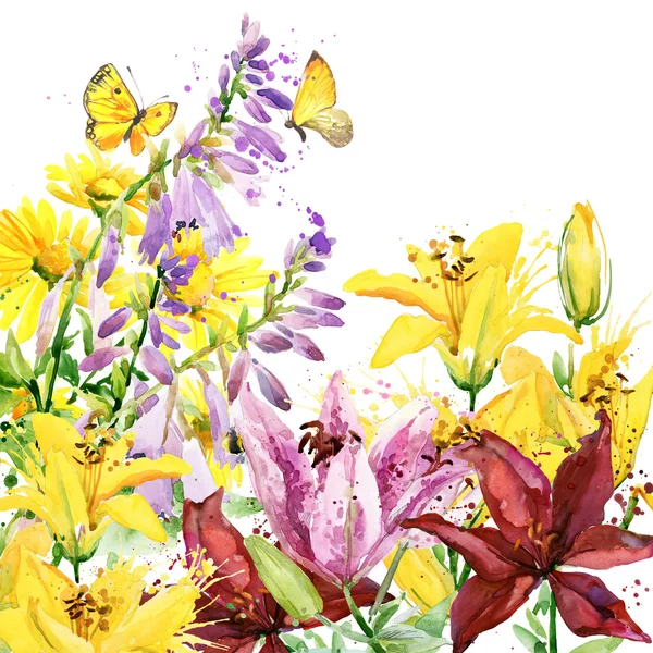 Summer garden flowers. watercolor illustration — Stockfoto