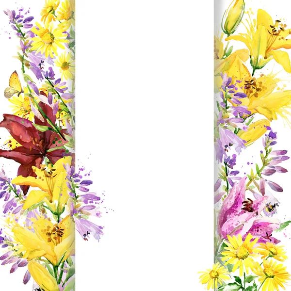 Summer garden flowers. watercolor illustration — Stock Photo, Image