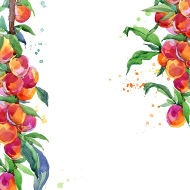 plum and leaves background. watercolor illustration