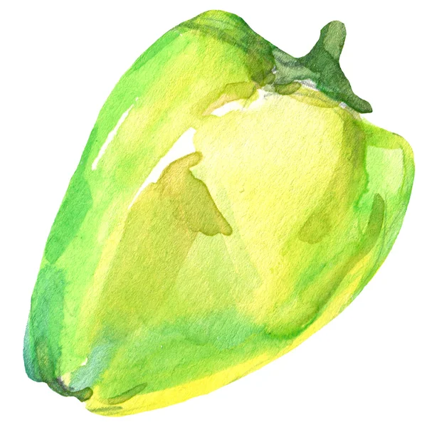 Organic vegetable green pepper. watercolor illustration — Stockfoto