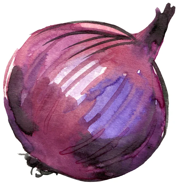 Organic vegetable red onion. watercolor illustration — Stock fotografie