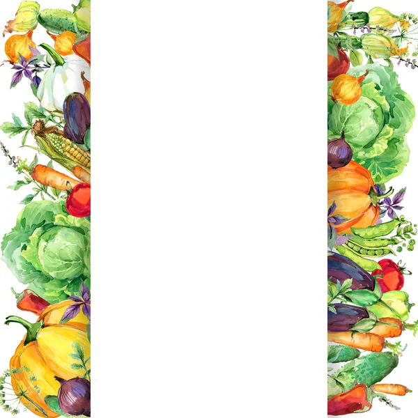 Çeşitli ham organik sebze. sulu boya resim. suluboya sebze ve otlar arka plan