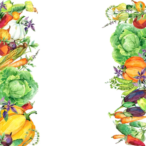 Válogatott nyers bio zöldség. akvarell illusztráció. akvarell zöldségek és fűszernövények háttér — Stock Fotó