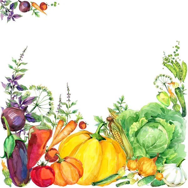Ποικιλία από βιολογικά ωμά λαχανικά. ακουαρέλα εικονογράφηση. ακουαρέλα φόντο λαχανικά και βότανα Εικόνα Αρχείου