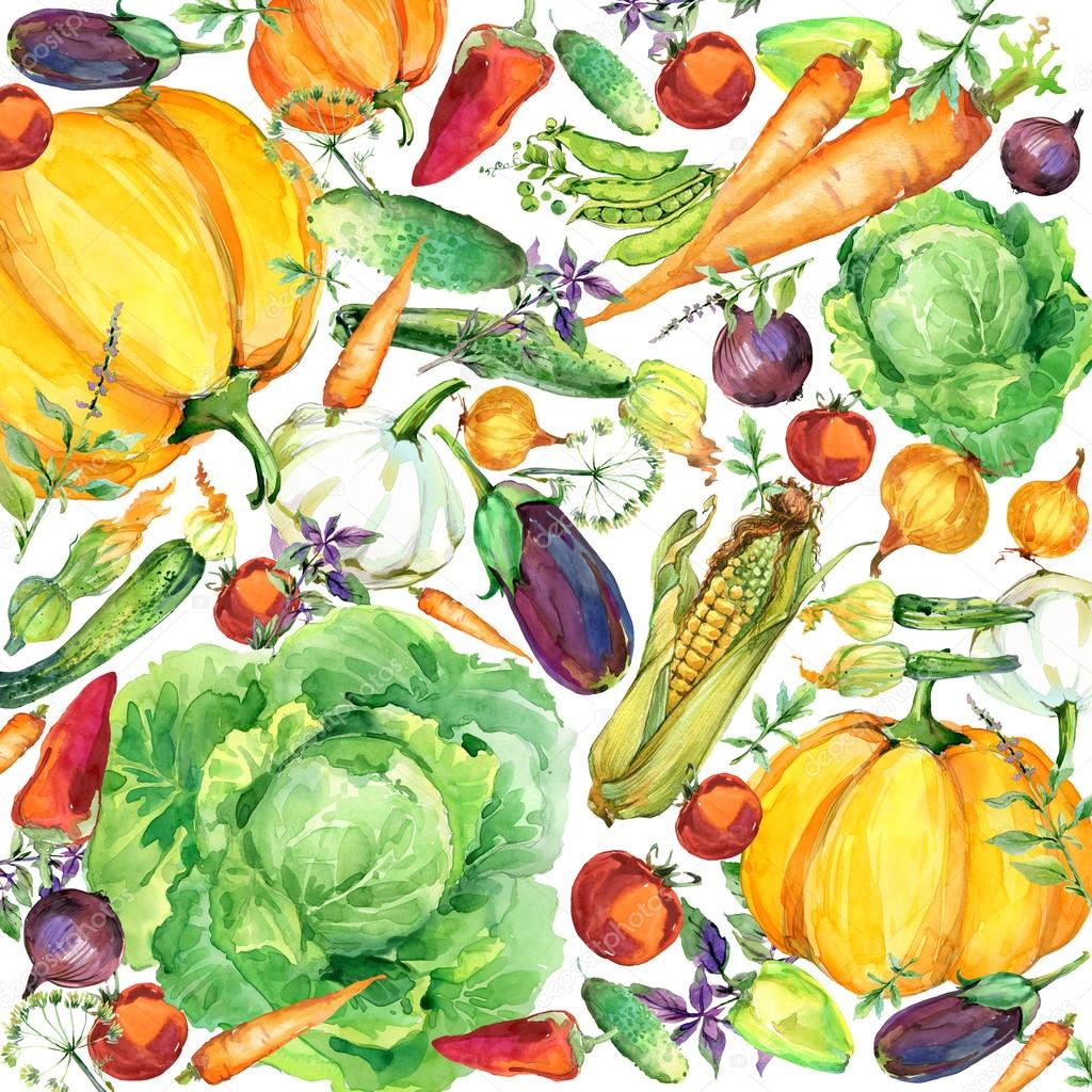 Assorted raw organic vegetables. watercolor illustration. watercolor vegetables and herbs background