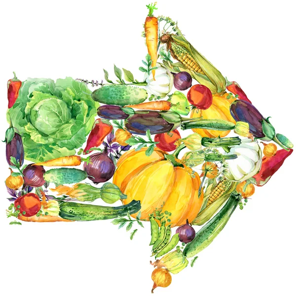 生有機野菜。水彩イラスト。野菜とハーブの水彩画の背景 — ストック写真
