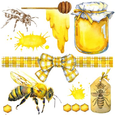 Tatlım, petek, bal arısı. Tasarım markalı ürünler için baldan ayarlayın. Suluboya resim
