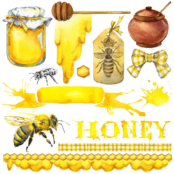 Μέλι, κηρήθρα, μέλι μέλισσα. Οριστεί για τα προϊόντα της ετικέτας από μέλι. Ακουαρέλα εικονογράφηση Εικόνα Αρχείου