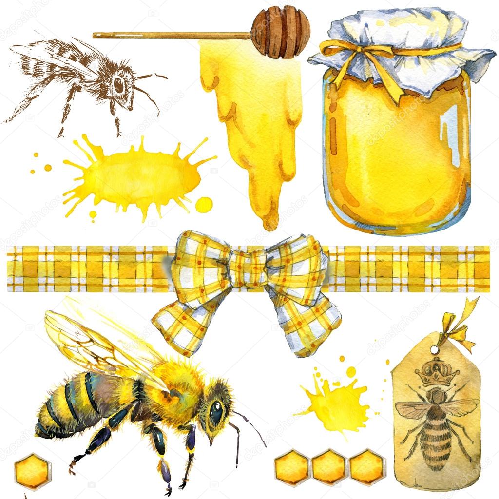 Honey, honeycomb, honey bee. Set for design label products from honey. Watercolor illustration