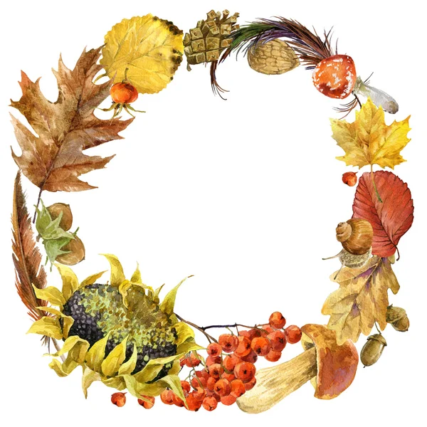 Autumn watercolor floral background circle from colorful leaves, fruit, berries, mushrooms, yellow leaves, rose hips with place for your text. watercolor illustration — 图库照片