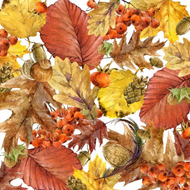 Sonbahar suluboya arka plan renkli yaprakları, meyve, çilek, mantar, Sarı yapraklar, rose hips, metniniz için yer ile. suluboya resim