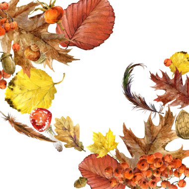 Sonbahar suluboya arka plan renkli yaprakları, meyve, çilek, mantar, Sarı yapraklar, rose hips, metniniz için yer ile. suluboya resim