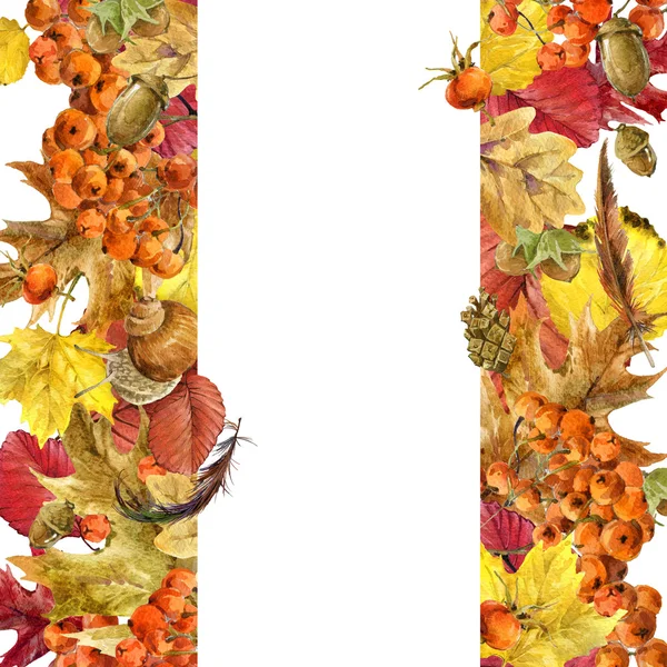Aquarel achtergrond kleurrijke Herfstbladeren, fruit, bessen, paddenstoelen, gele bladeren, rose heupen met plaats voor uw tekst. Aquarel illustratie — Stockfoto