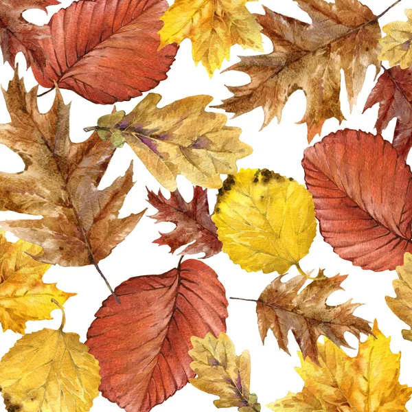 Herbst Aquarell Hintergrund bunte Blätter, Früchte, Beeren, Pilze, gelbe Blätter, Hagebutten mit Platz für Ihren Text. Aquarellillustration — Stockfoto