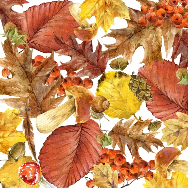 Aquarel achtergrond kleurrijke Herfstbladeren, fruit, bessen, paddenstoelen, gele bladeren, rose heupen met plaats voor uw tekst. Aquarel illustratie — Stockfoto