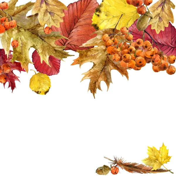 Otoño acuarela fondo hojas de colores, frutas, bayas, setas, hojas amarillas, rosa mosqueta con lugar para su texto. acuarela ilustración — Foto de Stock