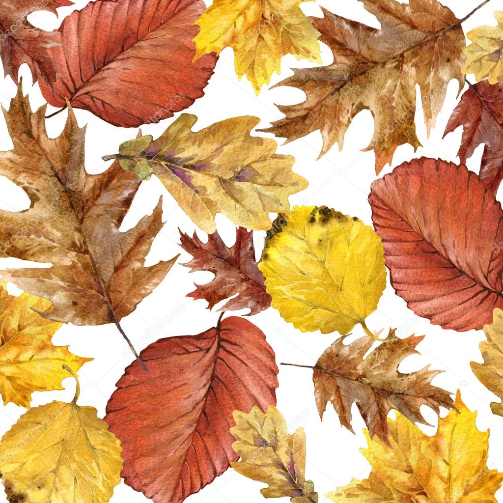 Autunno foglie colorate priorit  bassa dell acquerello frutta bacche funghi foglie gialle rosa canina con posto per il vostro testo illustrazione
