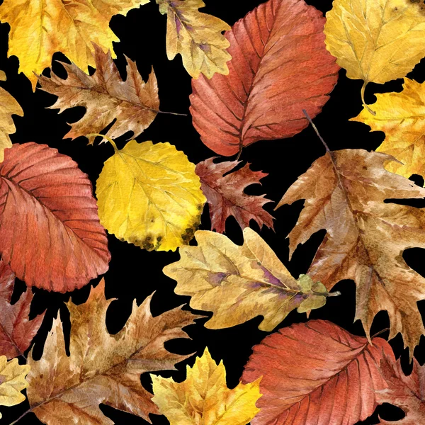 Herbst Natur bunte Blätter Hintergrund, Früchte, Beeren, Pilze, gelbe Blätter, Hagebutten auf schwarzem Hintergrund. Aquarellillustration — Stockfoto