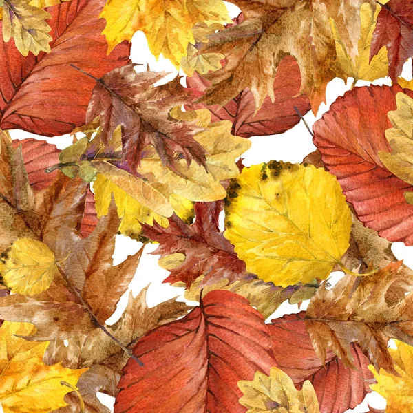 Herbst Natur bunte Blätter Hintergrund, Früchte, Beeren, Pilze, gelbe Blätter, Hagebutten auf schwarzem Hintergrund. Aquarellillustration — Stockfoto