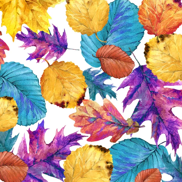 Herbst Natur bunte Blätter Hintergrund, Früchte, Beeren, Pilze, gelbe Blätter, Hagebutten auf schwarzem Hintergrund. Aquarellillustration — Stockfoto