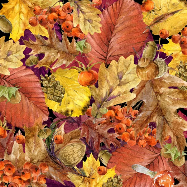 Fondo de la naturaleza otoñal hojas coloridas, frutas, bayas, setas, hojas amarillas, escaramujos sobre fondo negro. ilustración de acuarela con lugar para su texto . —  Fotos de Stock