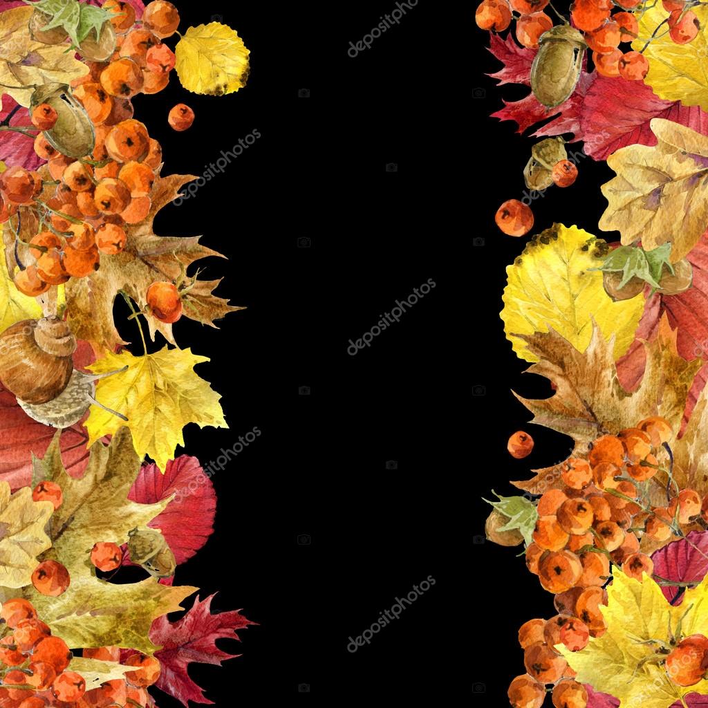 Foglie di autunno natura sfondo colorato frutta bacche funghi foglie gialle rosa canina su priorit  bassa nera illustrazione dell acquerello con il