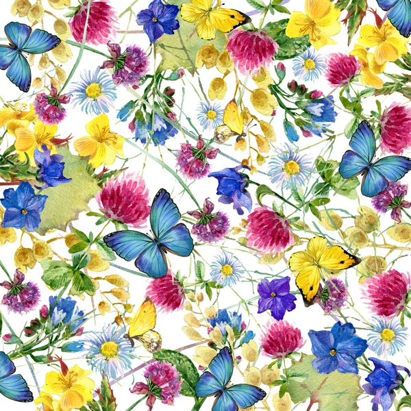 Hierbas y flores con fondo de mariposa. acuarela ilustración — Foto de Stock