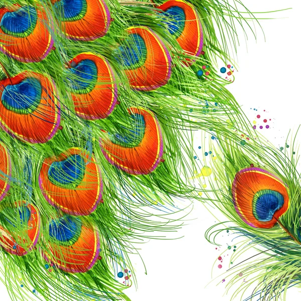 Egzotikus páva toll háttér. páva feather illusztráció akvarell textúrázott háttérre. szokatlan illusztráció akvarell páva poszter, textil, divattervezés — Stock Fotó