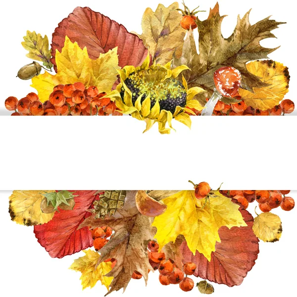 Autunno sfondo naturale con foglie colorate, bacche, funghi, foglie gialle, rosa canina su sfondo bianco. illustrazione ad acquerello con posto per il testo . — Foto Stock