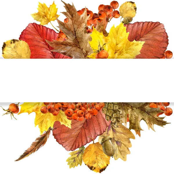 Herfst aard achtergrond met kleurrijke bladeren, bessen, paddenstoelen, gele bladeren, rose heupen op witte achtergrond. Aquarel illustratie met plaats voor uw tekst. — Stockfoto