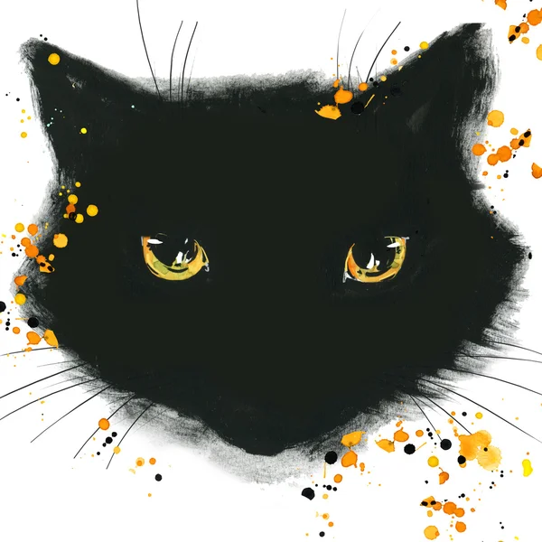 Cartaz de gato de Halloween para o feriado com os símbolos do feriado . — Fotografia de Stock