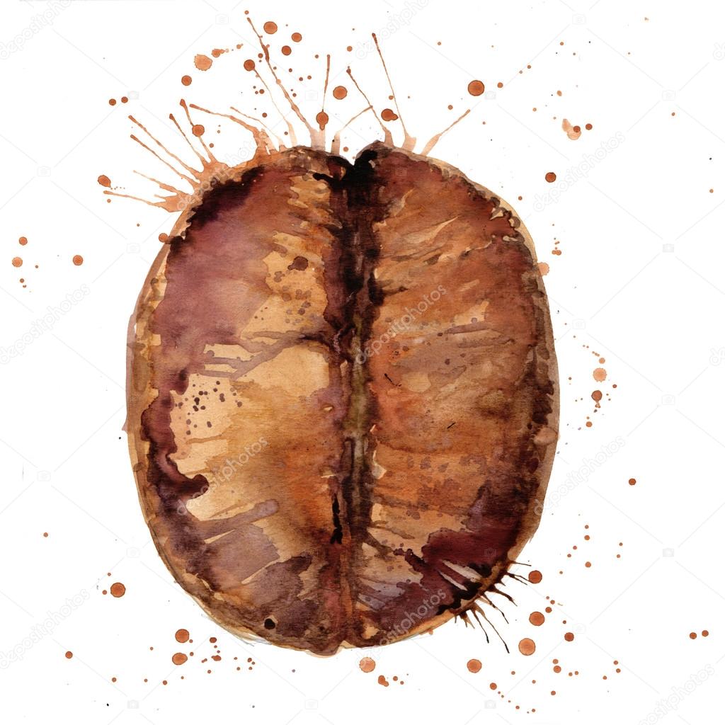 Coffee bean isolated on white background. Watercolor illustration Coffee bean