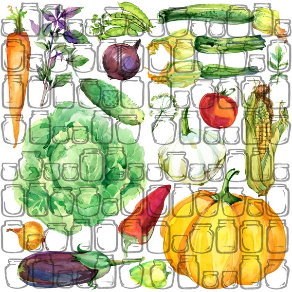 Vegetables. watercolor organic garden vegetables illustration. watercolor Canned vegetables and herbs background. pickled Vegetables background — 스톡 사진