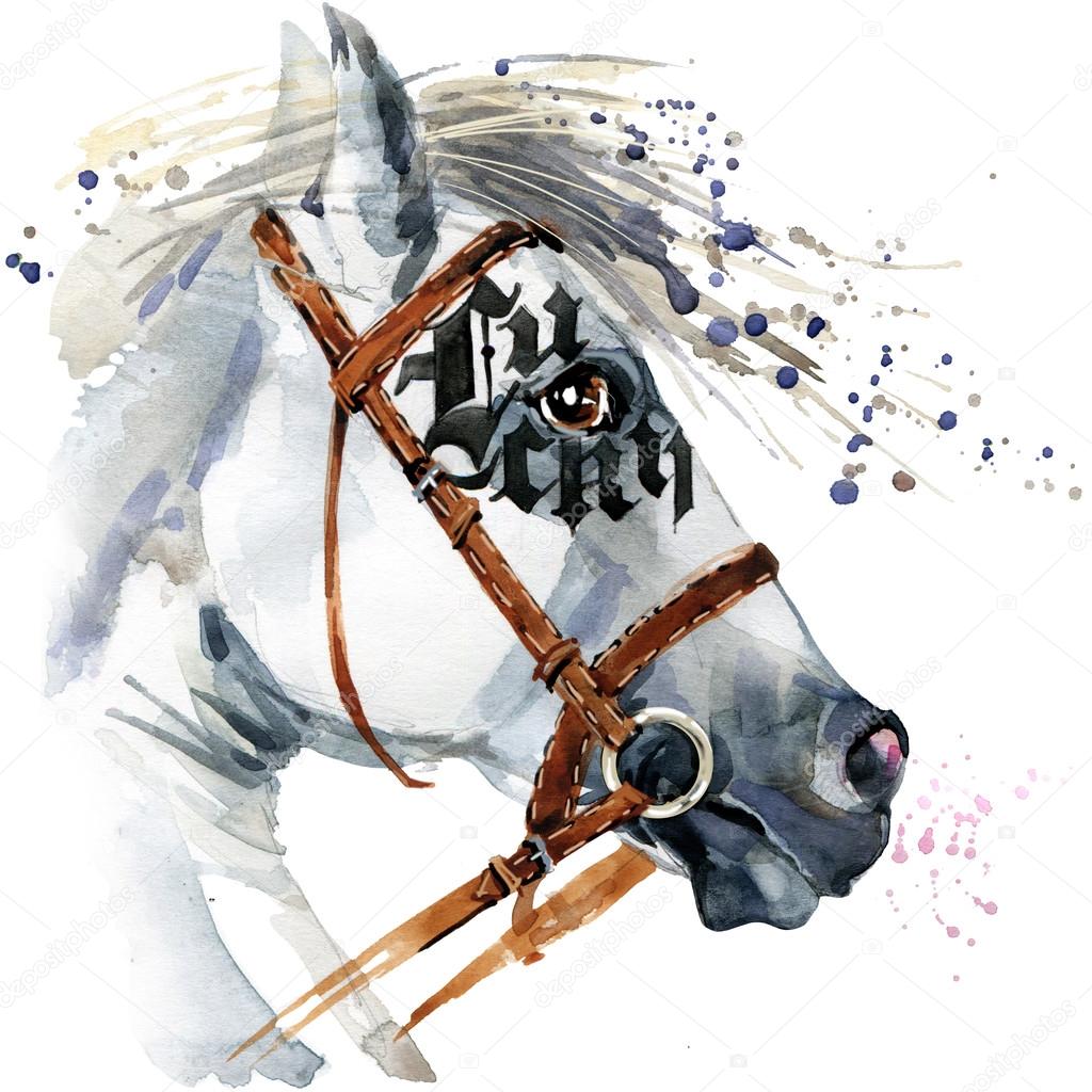 white stallion watercolor drawing white horse watercolor horse white stallion watercolor drawing white horse watercolor horse